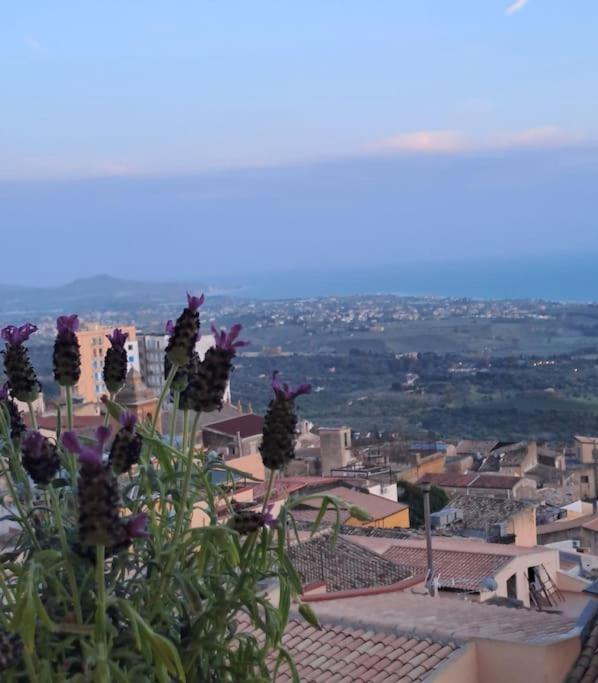 Casuzza Al Duomo Con Vista Valle Dei Templi! Agrigento Dış mekan fotoğraf